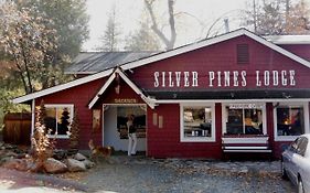 Silver Pines Lodge Idyllwild Ca